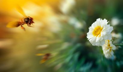 点击阅读【要分手了该怎么挽回 学会让你从此不再为爱烦恼】 要分手了该怎么挽回 学会让你从此不再为爱烦恼