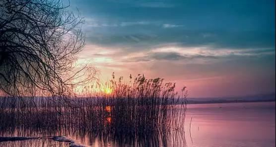 十二星座图标矢量图 十二星座图标矢量图片