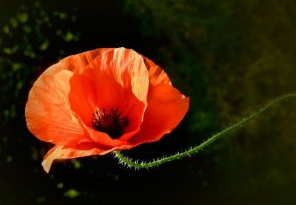 两人八字算命婚姻配对怎么看