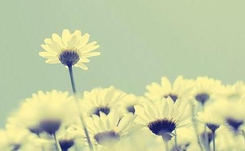 女人梦见蛆是什么预兆，梦见身上有扯不完的蛆？