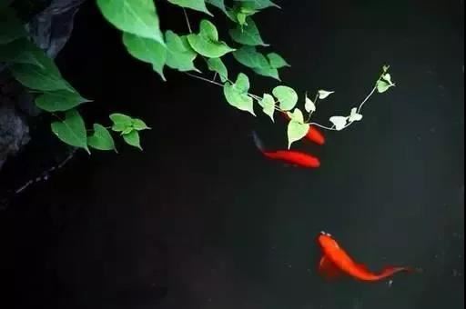 分手后怎么挽回?挽回前任的五个步骤