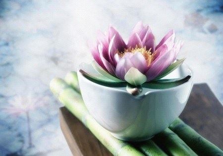 老人阳寿将尽的诡异前兆，老人阳寿已尽的老人表现？