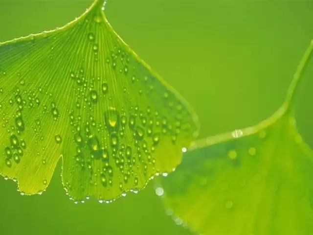 童子命烧替身管用吗？为何要换童子