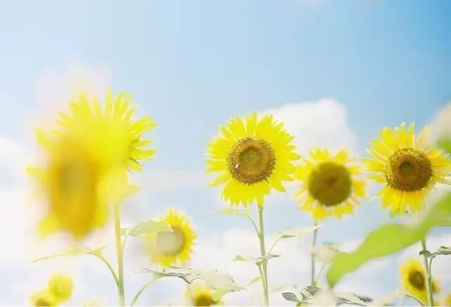 点击阅读【晚年最惨的日柱福气特别大的6个出生吉日】 晚年最惨的日柱福气特别大的6个出生吉日