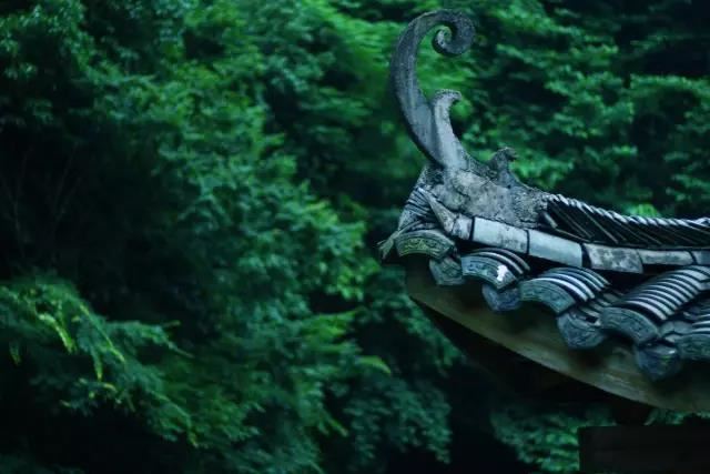 点击阅读【女人五官看相看命图解, 眼睛神光内敛富贵命?】 女人五官看相看命图解, 眼睛神光内敛富贵命?