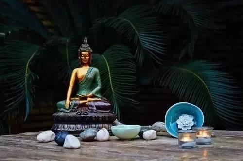 属鼠女和属猪男婚配