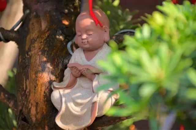 你有被算命准到震惊吗？算命三不看三不说