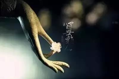 点击阅读【属鸡的哪种颜色最旺 属鸡的什么颜色最吉利】 属鸡的哪种颜色最旺 属鸡的什么颜色最吉利