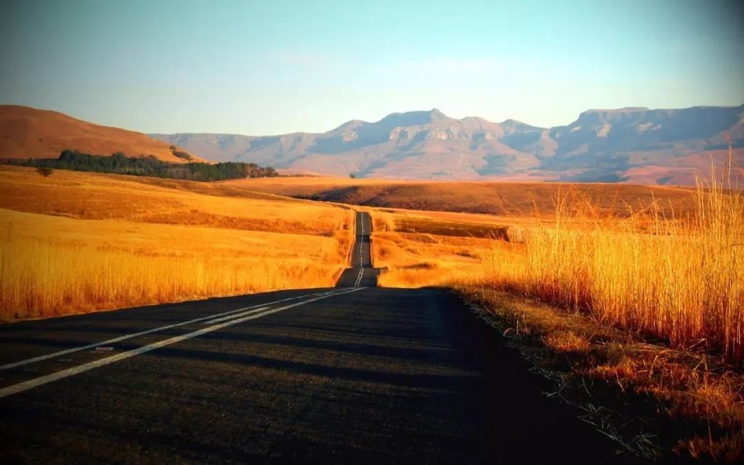 点击阅读【正缘的强烈征兆——塔罗测事业运势】 正缘的强烈征兆——塔罗测事业运势