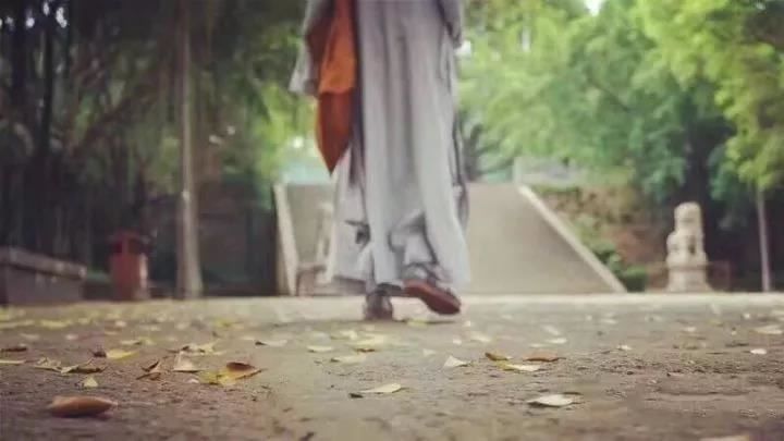 老鼠女配什么生肖比较好 老鼠的六个合属相