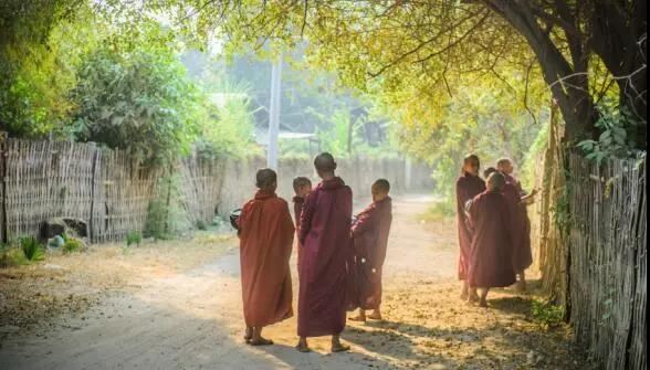 10天干12地支顺口溜