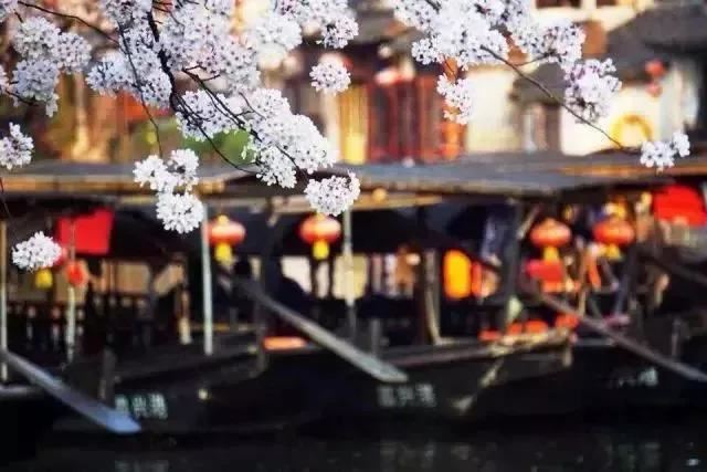 点击阅读【巨蟹座在天空的位置 巨蟹座在天上的位置】 巨蟹座在天空的位置 巨蟹座在天上的位置