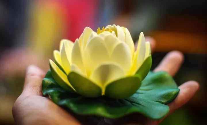 点击阅读【云一道长:超度婴灵法事是不是真的】 云一道长:超度婴灵法事是不是真的