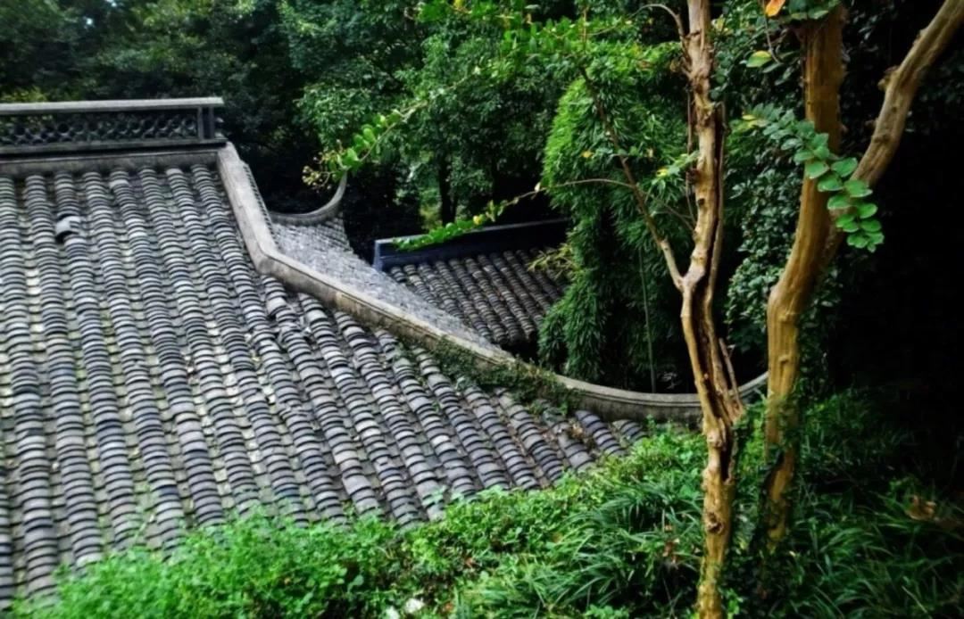 点击阅读【杀邀食制格适合什么职业,杀邀食制格女命富贵吗 ?】 杀邀食制格适合什么职业,杀邀食制格女命富贵吗 ?