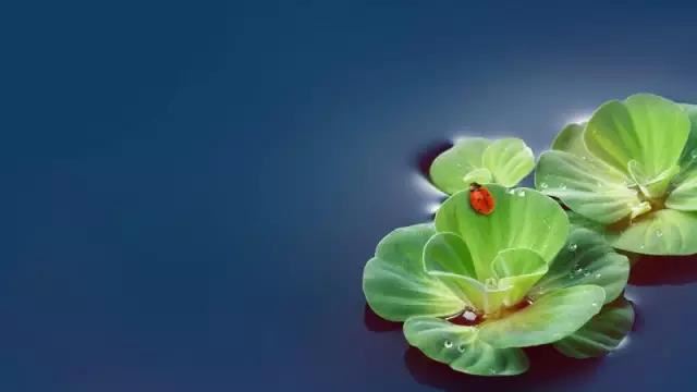 男两个字的名字大全 男两个字名字游戏名字大全