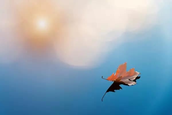 坟地放什么东西旺后人，什么东西最好？