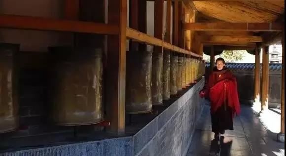 掌控淡漠疏离的兔先生秘诀的简单介绍