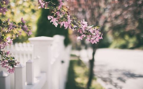 正规三皇五帝名单？