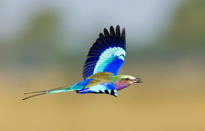 前男友不肯见面，和合术能让他回心转意