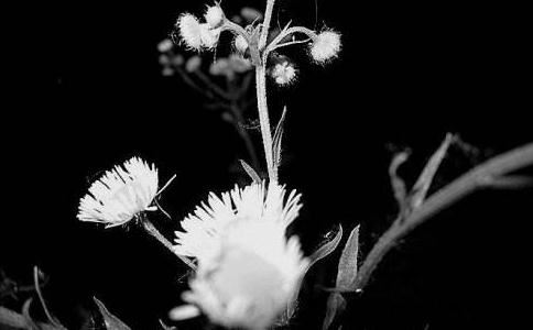 挽回坚决说分手的男友 降低需求感会让你变得不