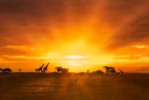 1970年属狗人2024年运势如何？2024年1970年属狗男全年运势