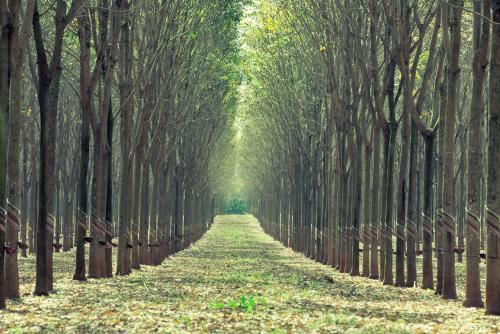 男职工配偶生育津贴 男职工配偶生育津贴可以领取几个月