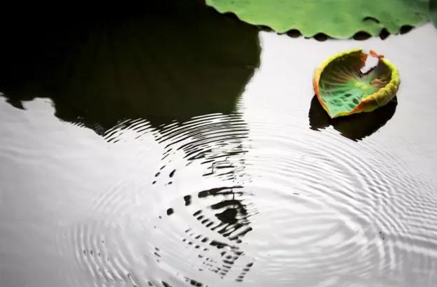 40岁的夫妻应该怎么维持婚姻，掌握三条法则中年夫妻也能甜蜜如初