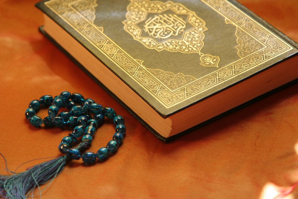 点击阅读【属蛇人起名适合用什么字辈的 属蛇人起名宜用哪些字好听】 属蛇人起名适合用什么字辈的 属蛇人起名宜用哪些字好听