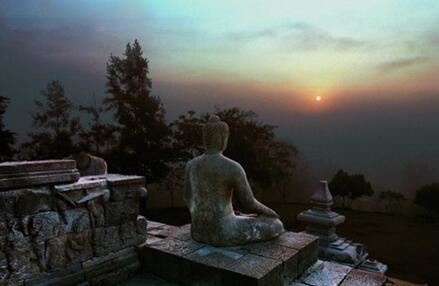 12星座下月最新运势