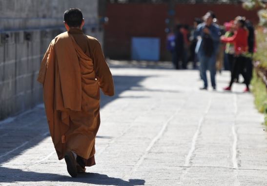 点击阅读【生肖马爱情财富收获颇丰,生肖马的情感和婚姻?】 生肖马爱情财富收获颇丰,生肖马的情感和婚姻?