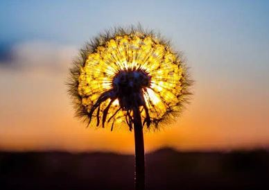 家居风水之佛像的学问？安放才可保平安?