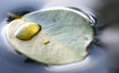 做和合术快30天了好着急  幸好有道长帮我解围