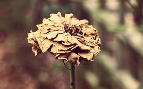 点击阅读【适合参加超度法会的人群有这几种】 适合参加超度法会的人群有这几种