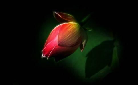 旺夫的八字口诀大运最好的顺序