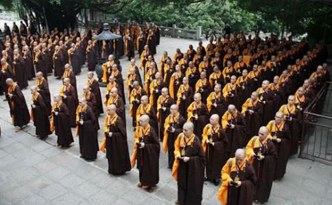 属鸡好运和倒霉的年份？具体了解一下！