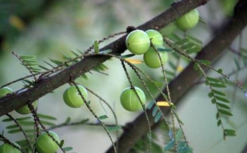 和合术后35天了没反应  有可能是这几个方面的原