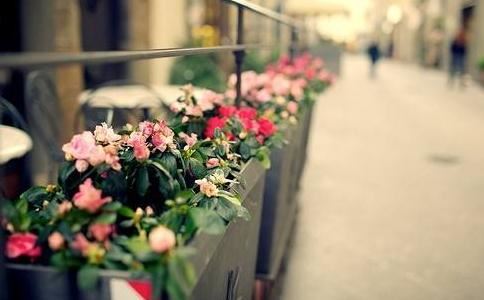 给男孩起名字姓李的名字怎么取