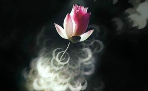 婴灵是指多大的胎儿 打胎的父母都该知道