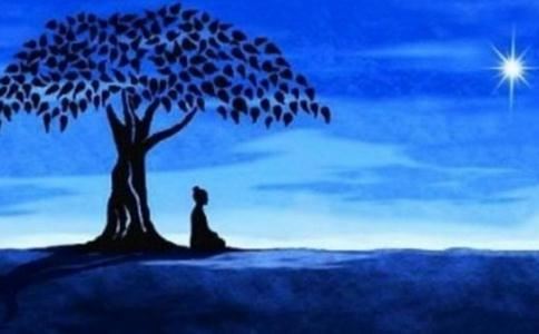 点击阅读【12星座那个星座最花心12星座哪个星座女生最花心】 12星座那个星座最花心12星座哪个星座女生最花心