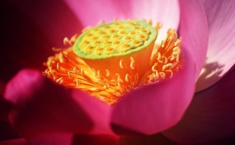 测名打分免费测试罗颖娟