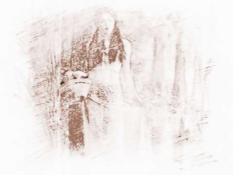 十神对应女人的特质