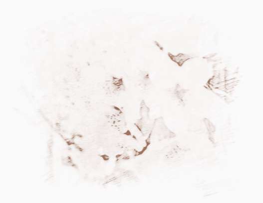 乙酉日柱人的命运