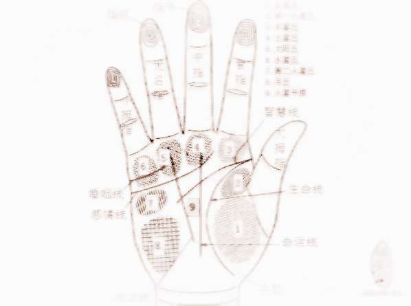 解说男感情线的特质