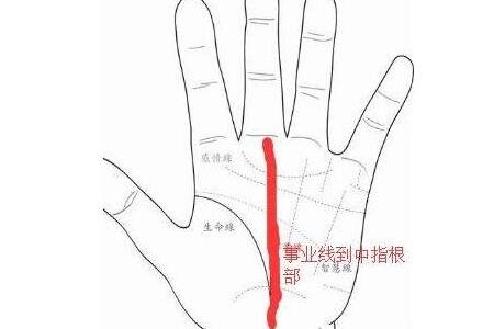 手相智慧线代表什么