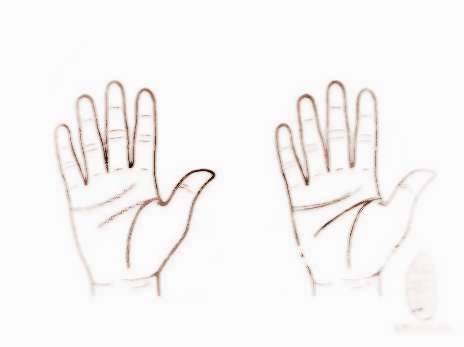 手掌纹路图解感情线女
