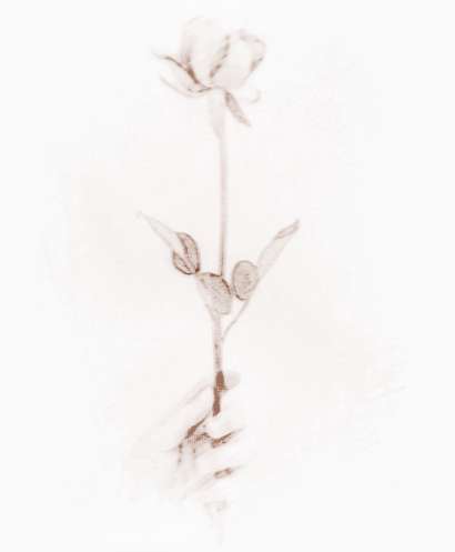 感情线看婚姻如何