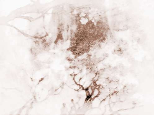 教你怎样招桃花运最有效果