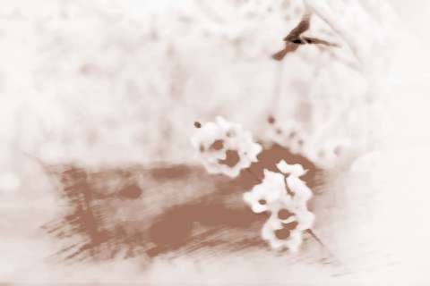 点击阅读【已婚人如何避免桃花运太多的情况】 已婚人如何避免桃花运太多的情况