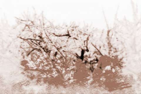 单身人士增加桃花运的办法