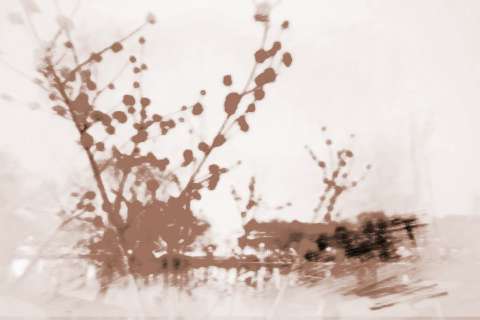 最灵验桃花运的方法单身不可错过